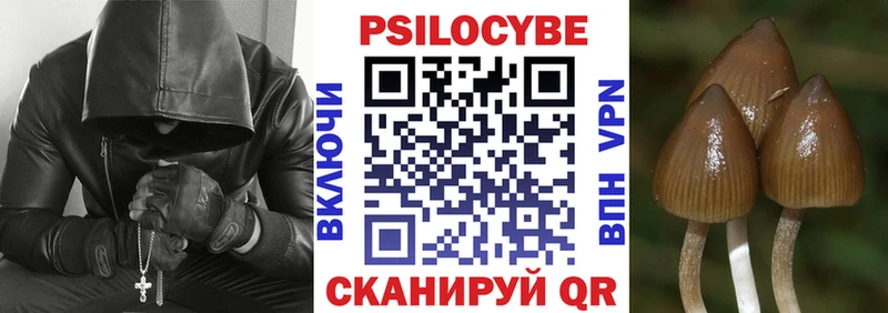 закладки  Берёзовский  MEGA сайт  Галлюциногенные грибы Psilocybe 